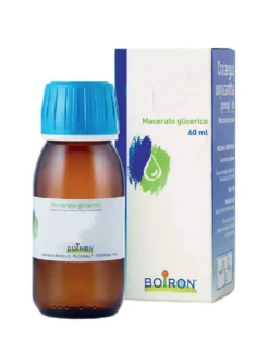BOIRON Aesculus Hippocastanum Macerato Glicerico 60 Ml