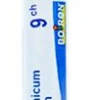 BOIRON Arsenicum Album 9Ch Granuli