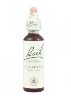 Clematis Fiori Di Bach Gocce 10 Ml