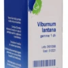 BOIRON Viburnum Lantana Gemme Macerato Glicerico 60 Ml